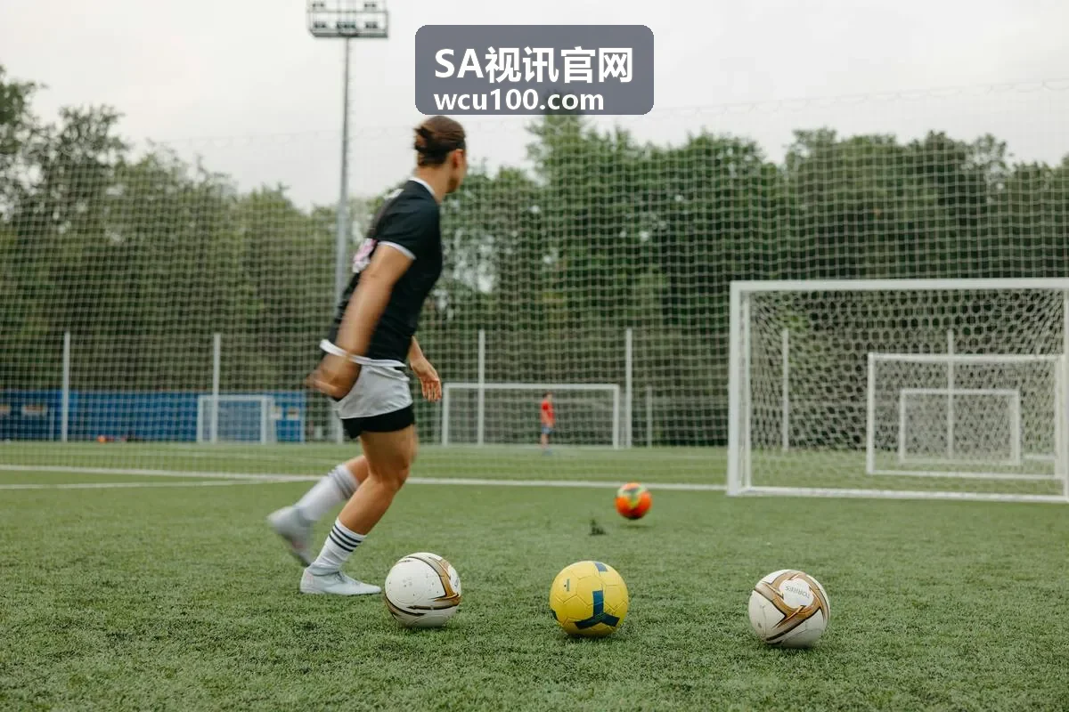 SA视讯产品界面